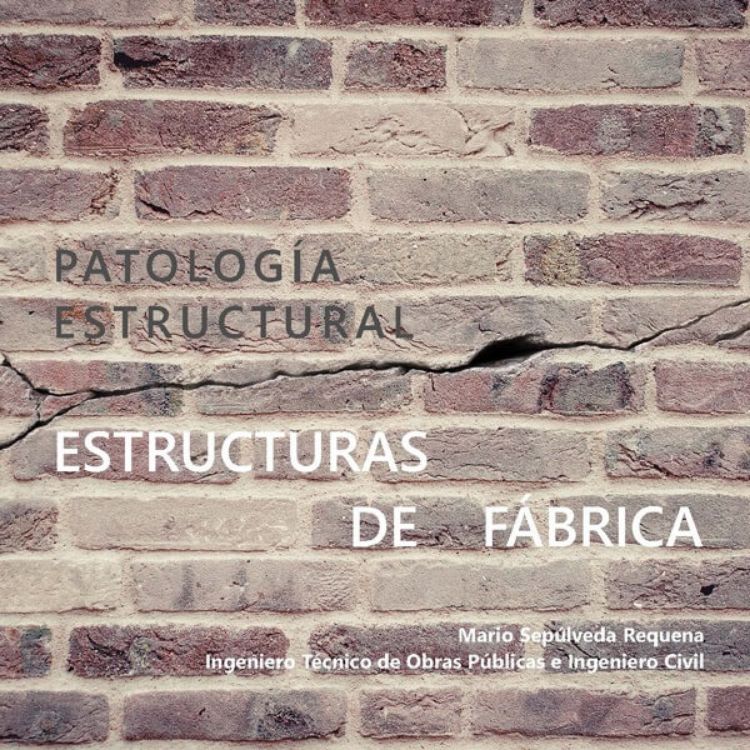 Imagen de Patologías en estructuras de fábrica