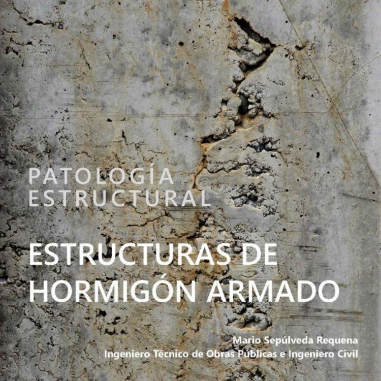 Imagen de Patologías en estructuras de hormigón armado