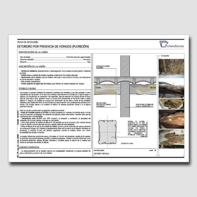 Imagen de Detalles constructivos DWG para rehabilitar vigas y forjados de madera