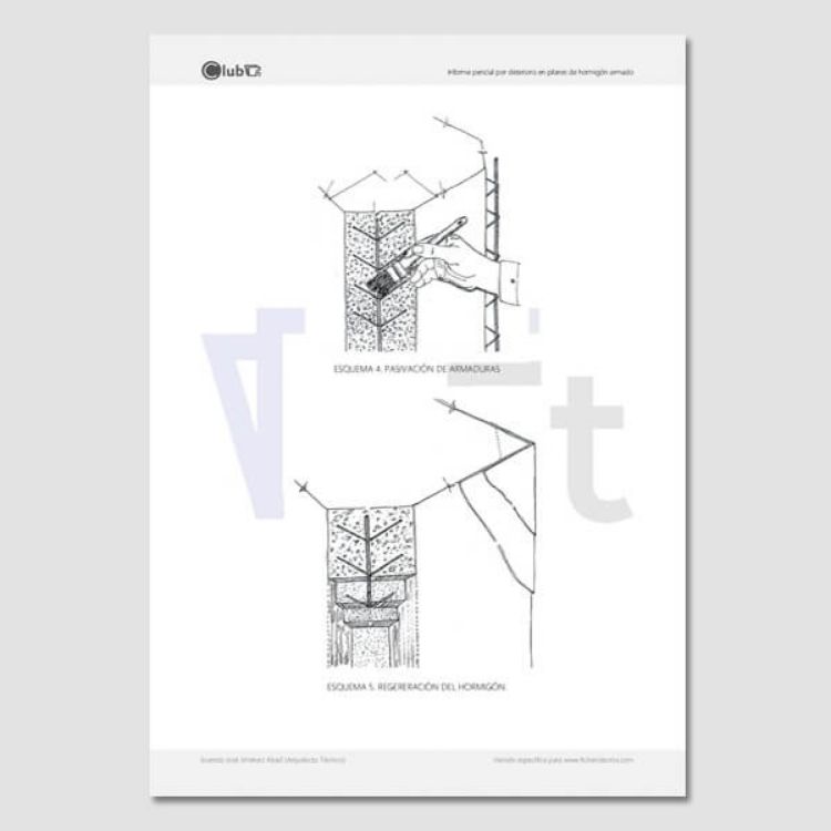 Imagen de Informe de deterioro estructural de pilares de hormigón armado