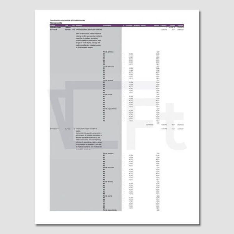 Imagen de Proyecto de refuerzo estructural en forjados de madera