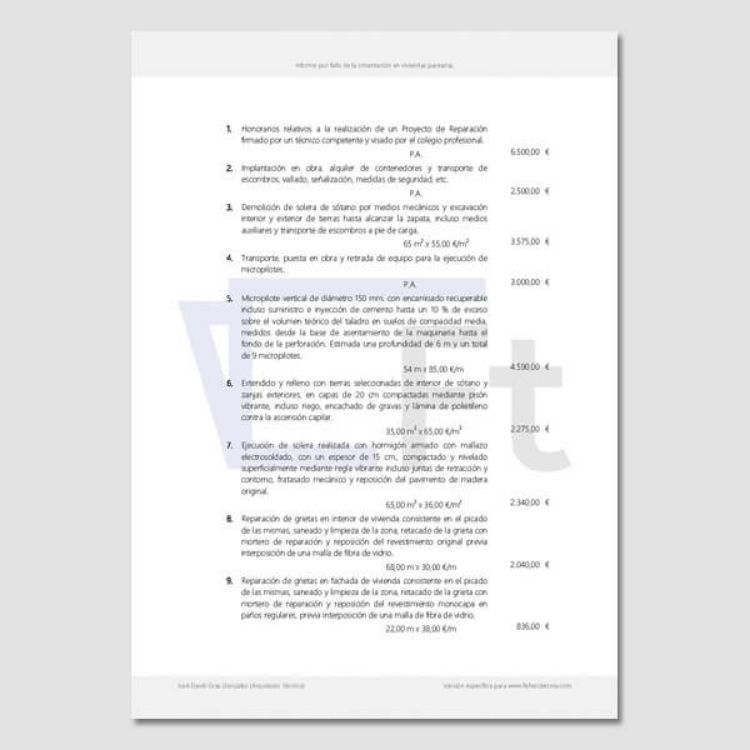 Imagen de Informe de asiento diferencial por fallo en la cimentación