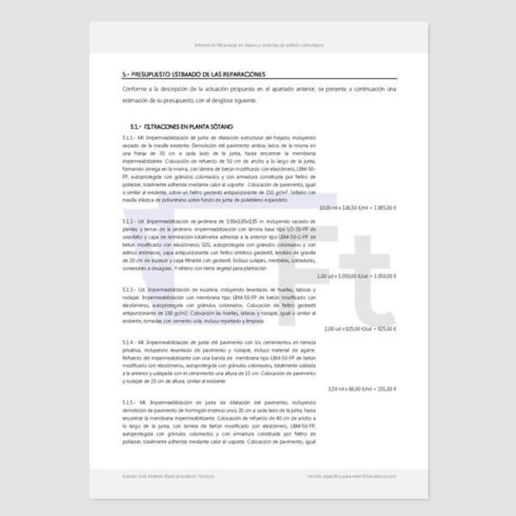 Imagen de Informe de filtraciones en sótano y viviendas de edificio comunitario