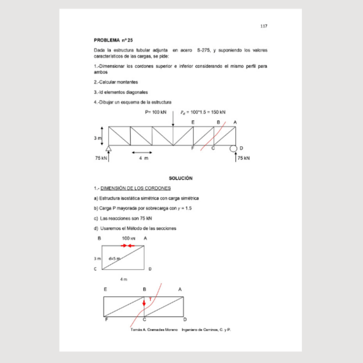 Imagen de La estructura metálica: Problemas adaptados al CTE y EC3