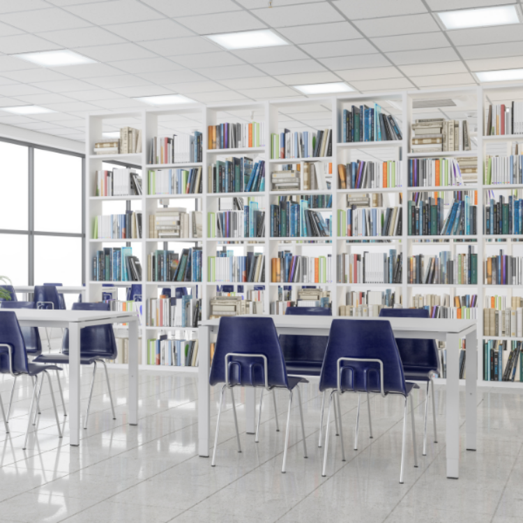 Imagen de Estudio lumínico para una biblioteca