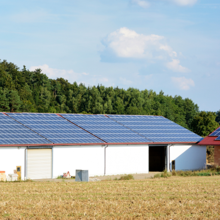 Imagen de Proyecto de instalación fotovoltaica de autoconsumo  para una nave de uso agrícola