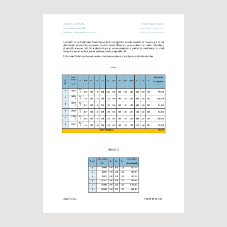 Imagen de Dictamen pericial sobre un informe de valoración de fincas urbanas y rústicas