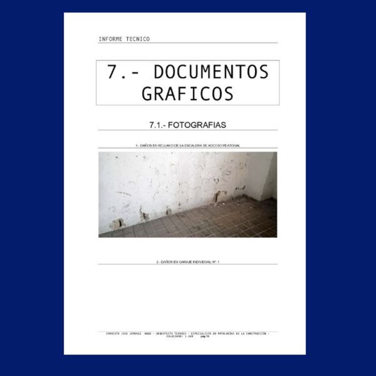 Imagen de Informe técnico sobre el estado del muro de hormigón armado