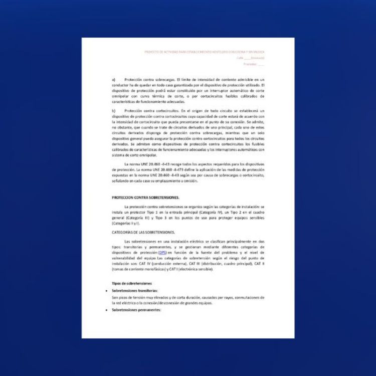 Imagen de Proyecto para apertura de un restaurante en Andalucía