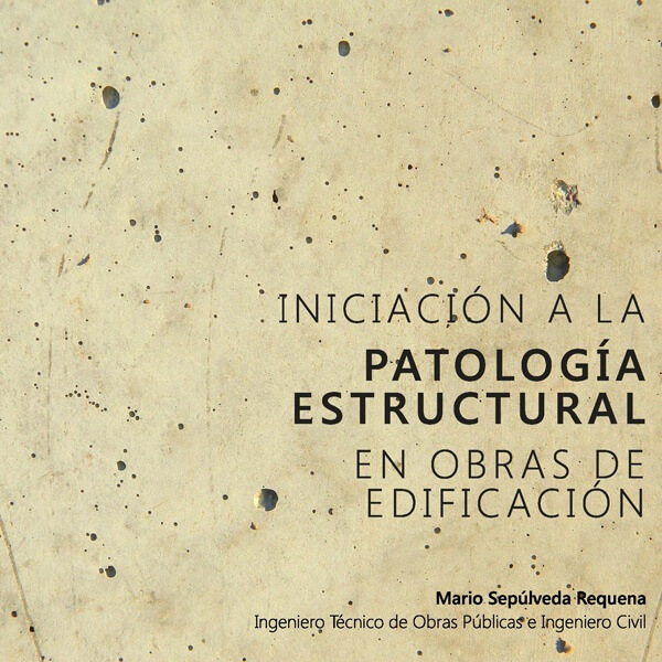 Iniciación a la patología estructural en obras de edificación