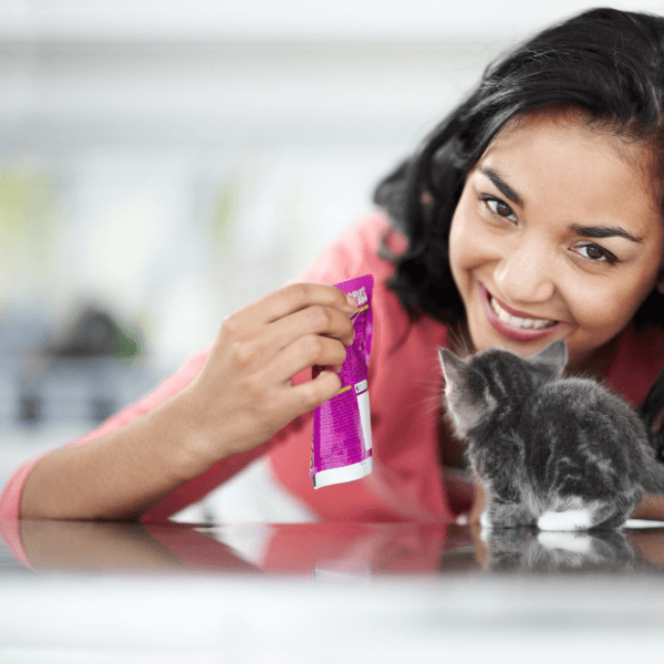 Licencia de actividad de venta por catálogo y al por menor de productos para mascotas