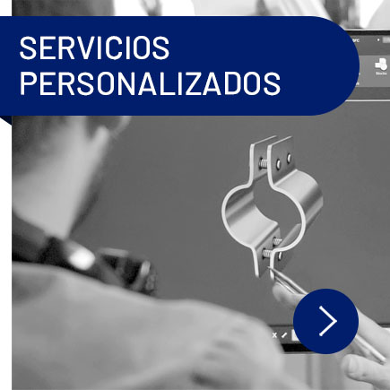 servicios personalizados en ficherotecnia